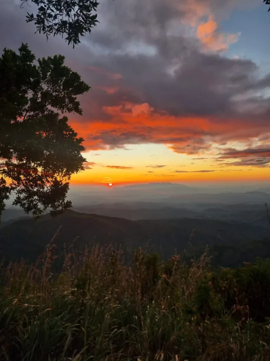 Travel gallery image