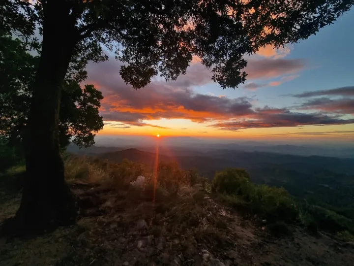 Travel gallery image