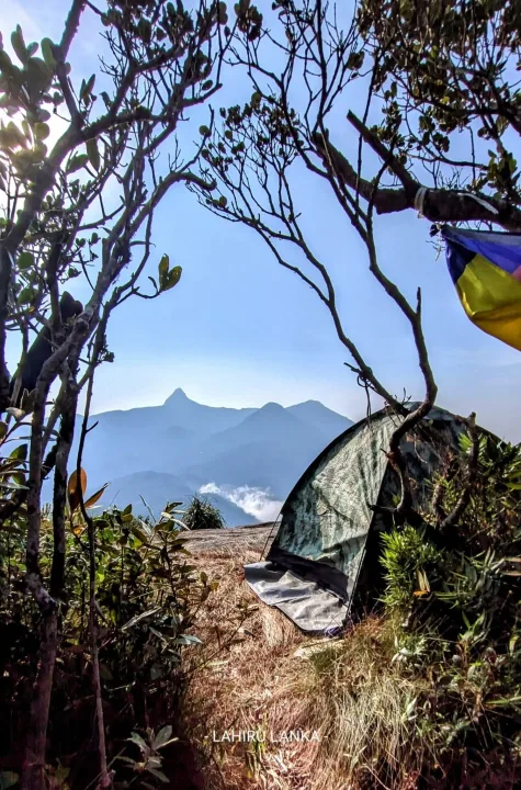 Travel gallery image